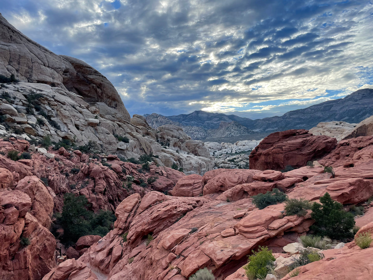 SELF GUIDED Red Rock Canyon Las Vegas