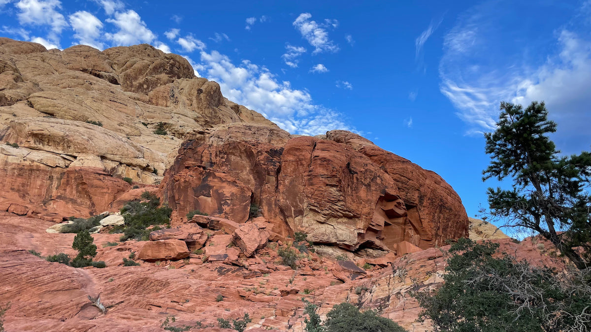 SELF GUIDED Red Rock Canyon Las Vegas